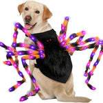 Load image into Gallery viewer, Realistic Furry Spider Pet Costume – Funny Halloween Outfit for Dogs & Cats