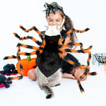 Load image into Gallery viewer, Realistic Furry Spider Pet Costume – Funny Halloween Outfit for Dogs & Cats