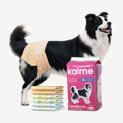 Comfort Fit Female Dogs Diapers - Size XL