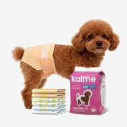 Comfort Fit Female Dogs Diapers - Size XXS