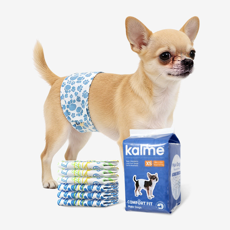 Comfort Fit Male Dogs Wraps - Size L