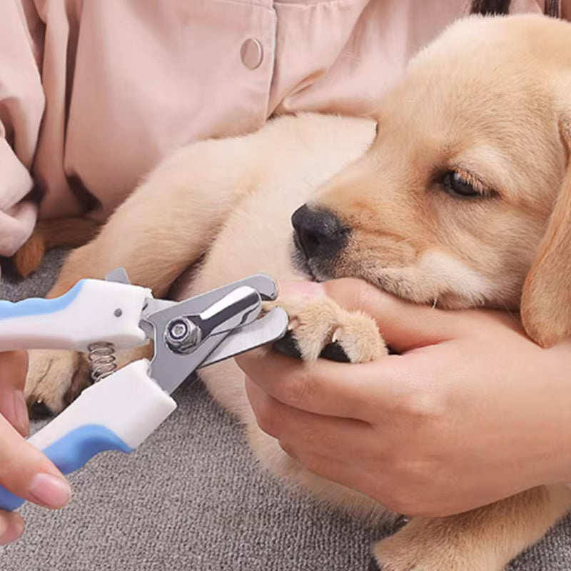 Nail clipper Grooming Made Easy