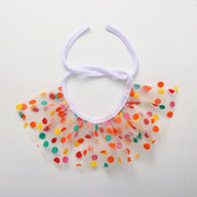 Pet Birthday Hat & Bib Set