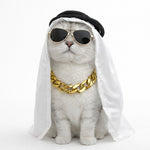 Load image into Gallery viewer, Arab Pet Headscarf Hat