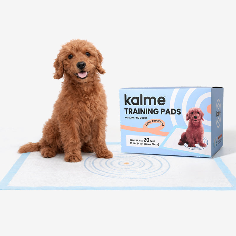 Training Pads 20 Pads