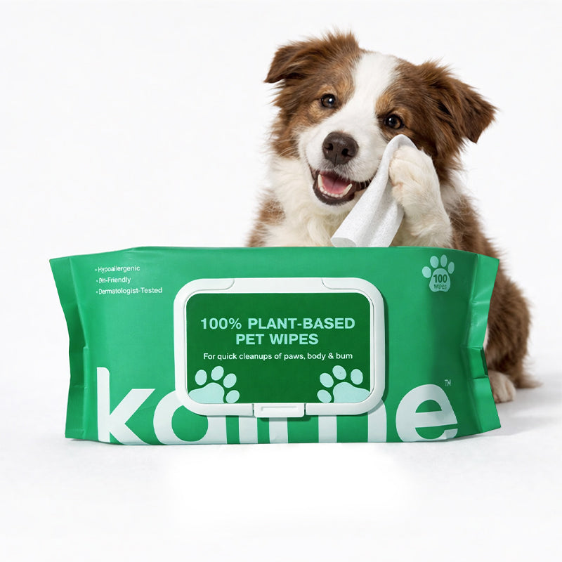 100% Plant-based pet Wipes
