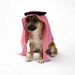 Load image into Gallery viewer, Arab Pet Headscarf Hat