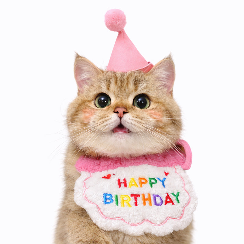 Pet Birthday Bandana & Hat Set, Party Outfit