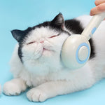 Load image into Gallery viewer, Pet Spray Massage Brush for Cats &amp; Dogs