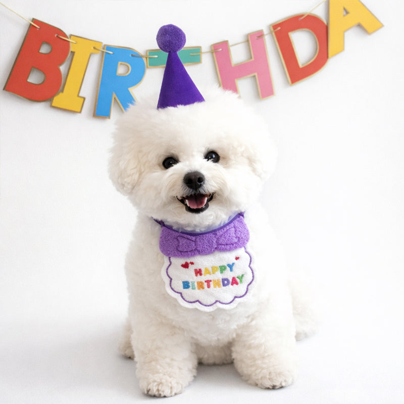 Pet Birthday Bandana & Hat Set, Party Outfit