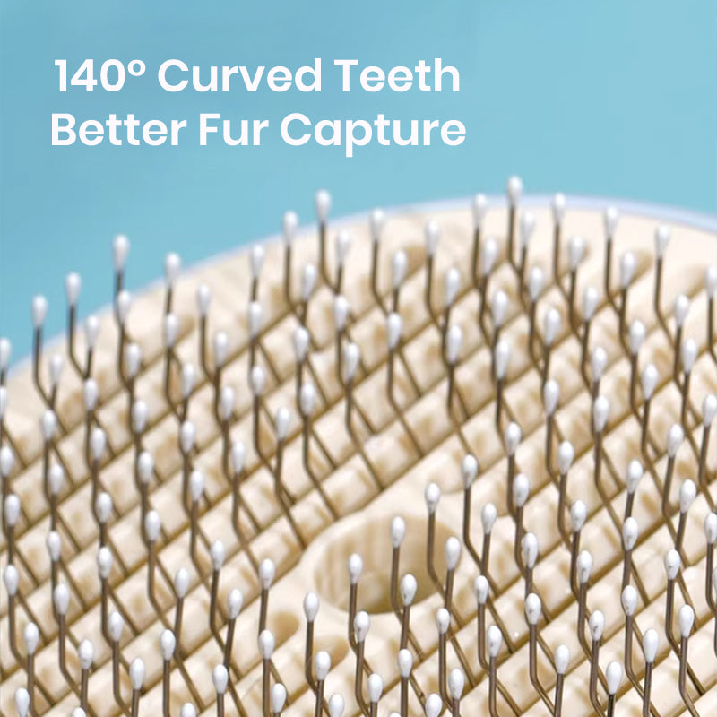 Pet Spray Massage Brush for Cats & Dogs