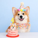 Load image into Gallery viewer, Pet Birthday Hat &amp; Bib Set
