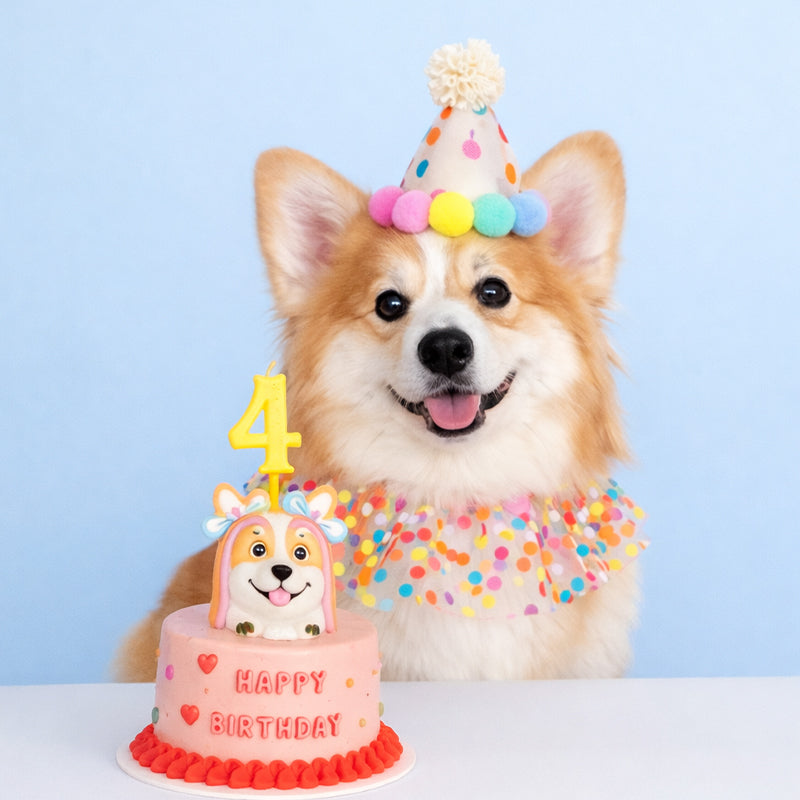 Pet Birthday Hat & Bib Set