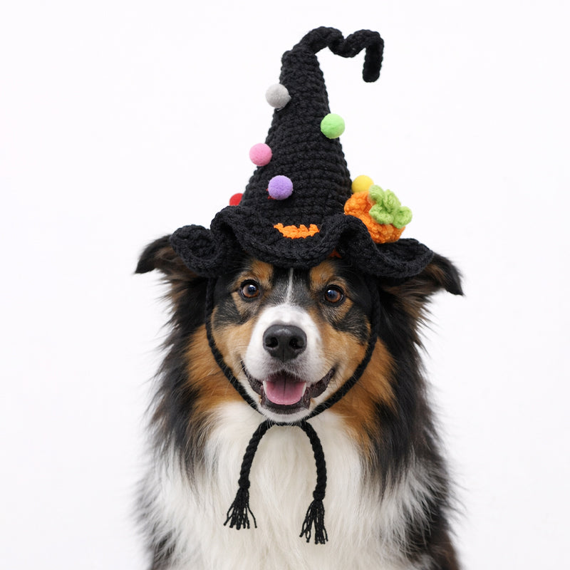 Pet Cute Pumpkin Hat