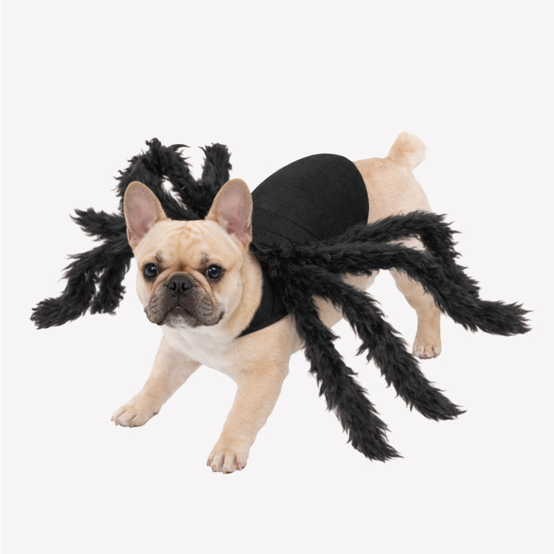 Realistic Furry Spider Pet Costume – Funny Halloween Outfit for Dogs & Cats