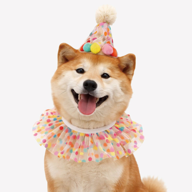 Pet Birthday Hat & Bib Set