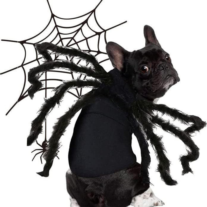 Realistic Furry Spider Pet Costume – Funny Halloween Outfit for Dogs & Cats