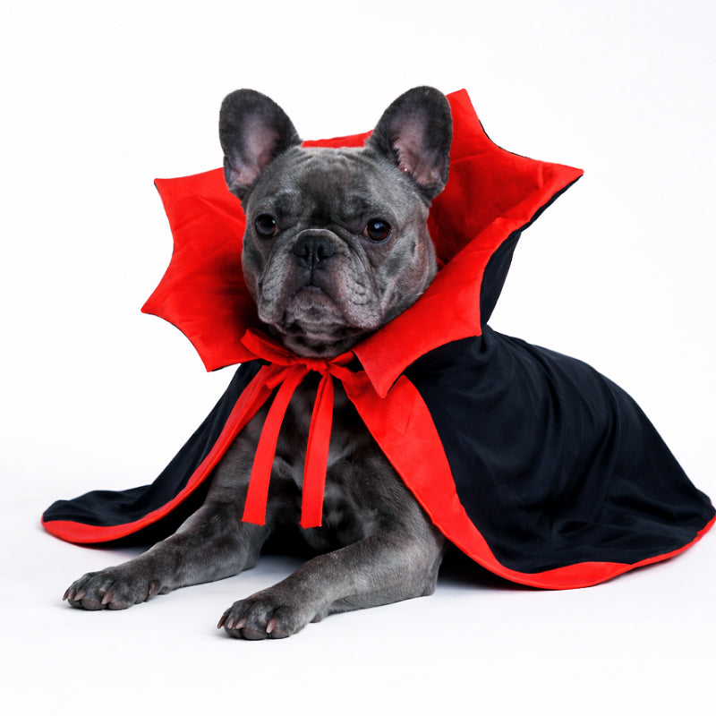 Halloween Pet Dracula Cape Costume