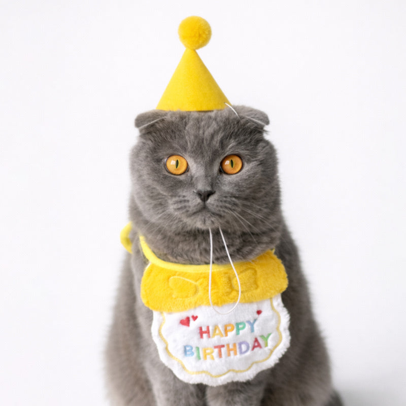 Pet Birthday Bandana & Hat Set, Party Outfit